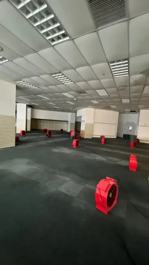 Air movers drying a great room after a leak in a Murrieta, CA home